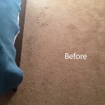 Bedroom-Carpet-Cleaning-Redwood-City-A