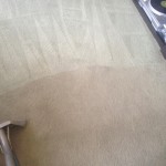 Carpet-Cleaning-Redwood-City