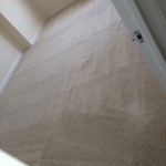 Redwood-City-Carpet-Clean-room