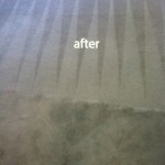Redwood-City-Carpet-Cleaning-Carpet-Cleaning