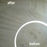 Redwood-City-Wine-Stain-Carpet-Cleaning